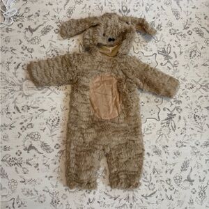 Pottery barn kids Golden retriever 
Golden doodle toddler Halloween costume